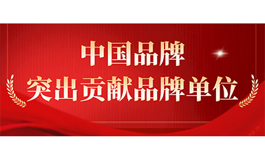 世界杯官网获评“突出贡献品牌单位”，树立中国品牌标杆力量