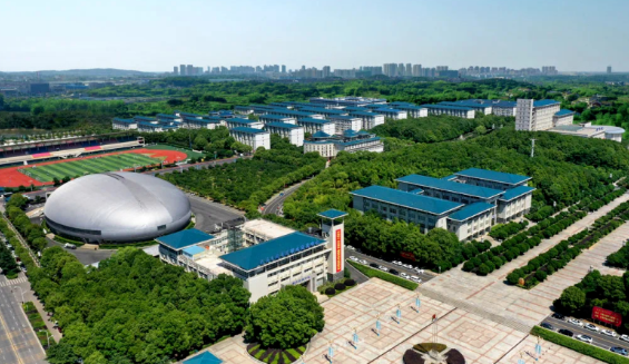 助力高等教育创新升维，世界杯官网交付“满分答卷”